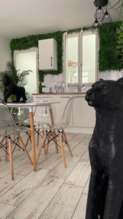Tous'O'Zoo, Au Coeur Du Centre-Ville Saint-Aignan  Kültér fotó